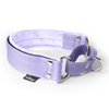 Martingale Baby Purple - Breites, gefüttertes Halbwürgehalsband