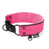 Martingale Black Edition Pink - Breites, gefüttertes Halbwürgehalsband