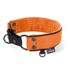 Martingale Black Edition Orange - Breites, gefüttertes Halsband mit halber Würgefunktion