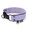 Martingale Black Edition Baby Purple - Breites, gefüttertes Halsband mit halbem Würgegriff