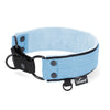 Martingale Black Edition Baby Blue - Breites, gefüttertes Halsband mit halbem Würgegriff