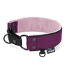 Martingale Black Edition Plum - Breites, gefüttertes Halbwürgehalsband