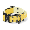 Extreme Buckle Black Edition Baby Yellow - Starkes und sicheres Halsband