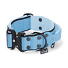 Extreme Buckle Black Edition Baby Blue - Starkes und sicheres Halsband