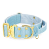 Extreme Gold Buckle Baby Blue - Starkes und sicheres Halsband