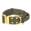 Extreme Gold Buckle Khaki - Starkes und sicheres Halsband