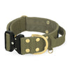 Extreme Buckle Golden Khaki - Starkes und sicheres Halsband