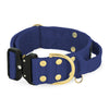 Extreme Buckle Golden Navy Blue - Starkes und sicheres Halsband