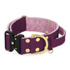 Extreme Buckle Golden Plum - Starkes und sicheres Halsband