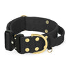 Extreme Buckle Golden Black - Starkes und sicheres Halsband