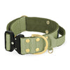 Extreme Buckle Golden Olive Green - Starkes und sicheres Halsband