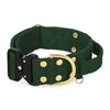 Extreme Buckle Golden Forest Green - Starkes und sicheres Halsband