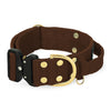 Extreme Buckle Golden Dark Brown - Starkes und sicheres Halsband