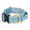 Extreme Buckle Golden Baby Blue - Starkes und sicheres Halsband