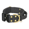 Extreme Buckle Golden Dark Grey - Starkes und sicheres Halsband