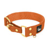 Martingale Golden Burnt Orange - Breites, gefüttertes Halbwürgehalsband