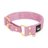 Martingale Golden Candy Pink - Breites gefüttertes Halbhalsband