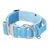 Extreme Silver Buckle Baby Blue - Starkes und sicheres Halsband