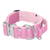 Extreme Silver Buckle Baby Pink - Starkes und sicheres Halsband