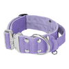 Extreme Silver Buckle Baby Purple - Starkes und sicheres Halsband