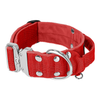 Extreme Silver Buckle Red - Starkes und sicheres Halsband