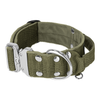 Extreme Silver Buckle Khaki - Starkes und sicheres Halsband