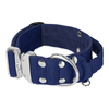 Extreme Silver Buckle Navy Blue - Starkes und sicheres Halsband