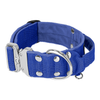 Extreme Silver Buckle Blue - Starkes und sicheres Halsband