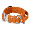 Extreme Silver Buckle Orange - Starkes und sicheres Halsband