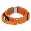 Extreme Silver Buckle Orange - Starkes und sicheres Halsband
