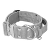 Extreme Silver Buckle Grey - Starkes und sicheres Halsband