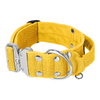 Extreme Silver Buckle Yellow - Starkes und sicheres Halsband