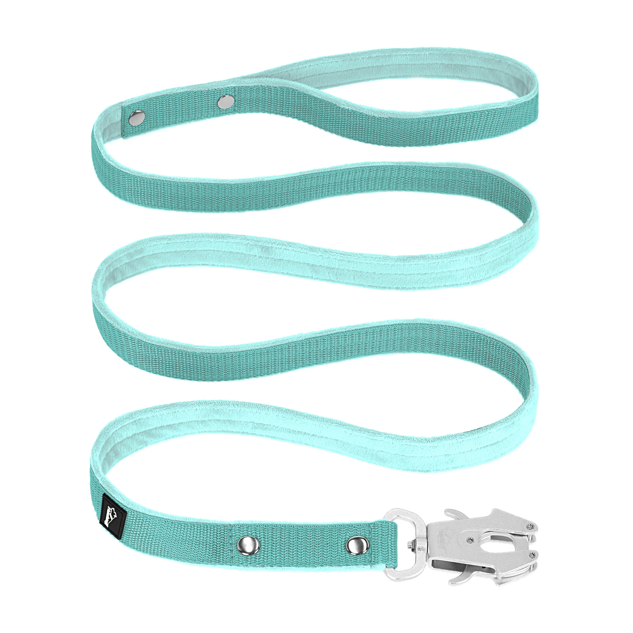 walk leash mint 2