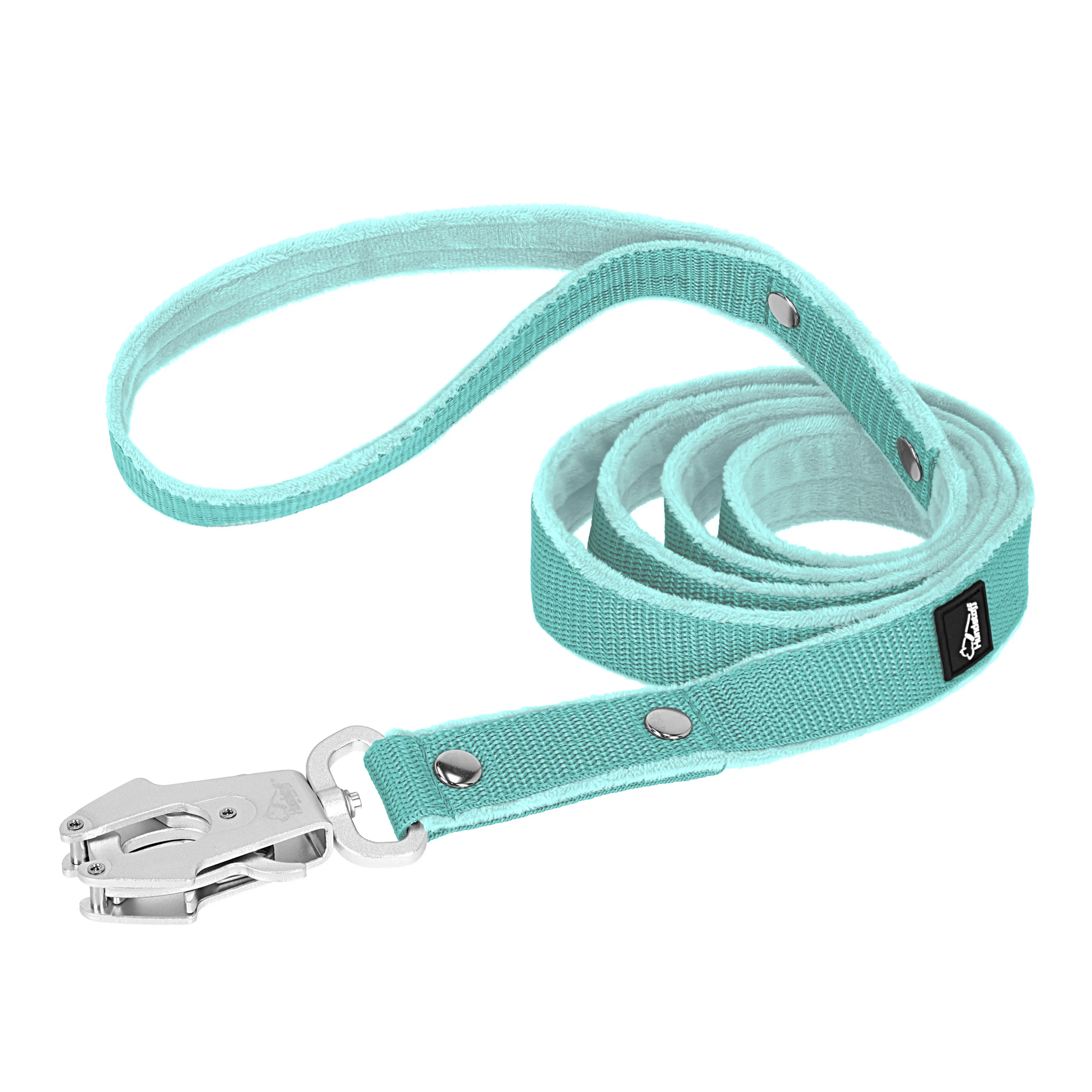 walk leash mint 1