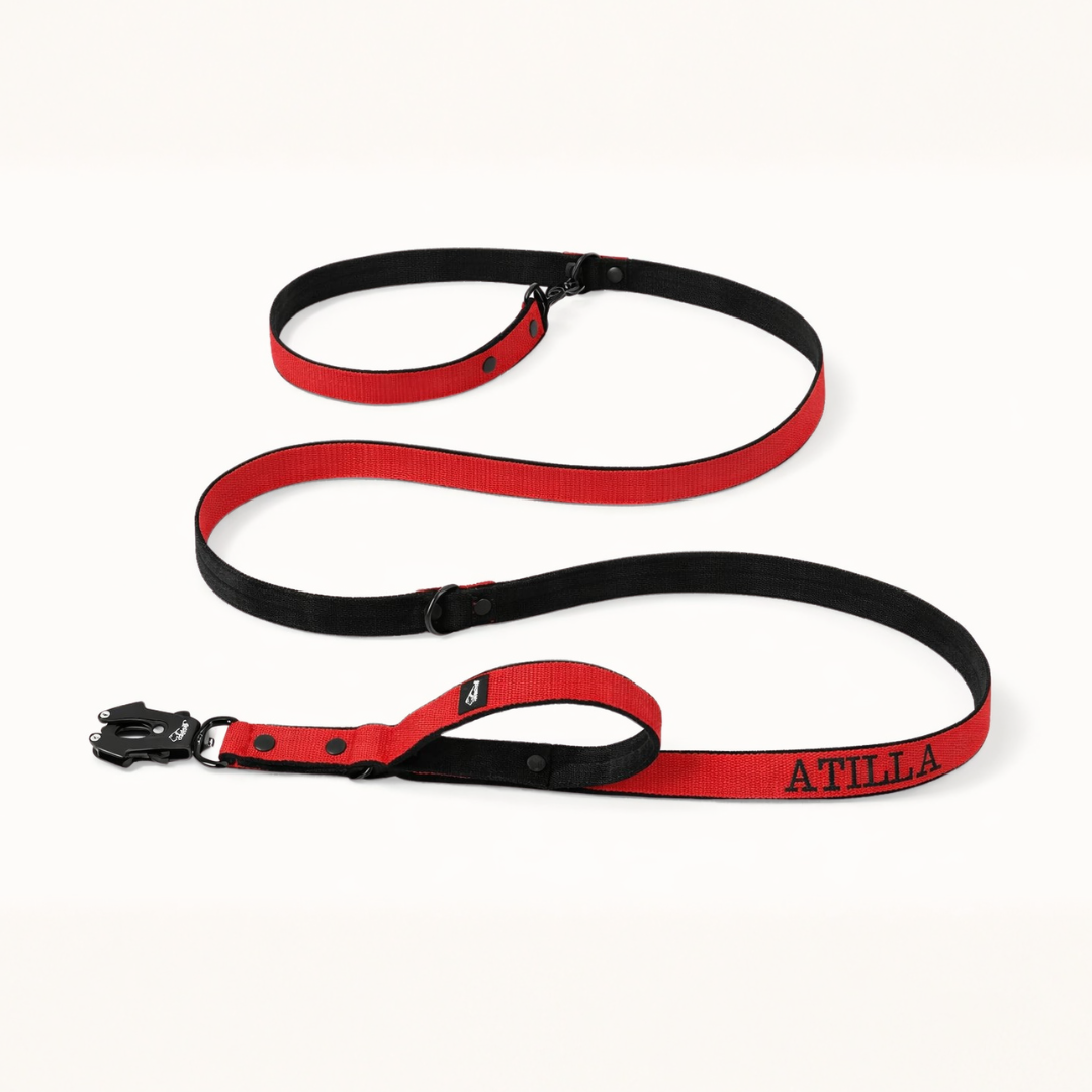 Multileine mit Namen