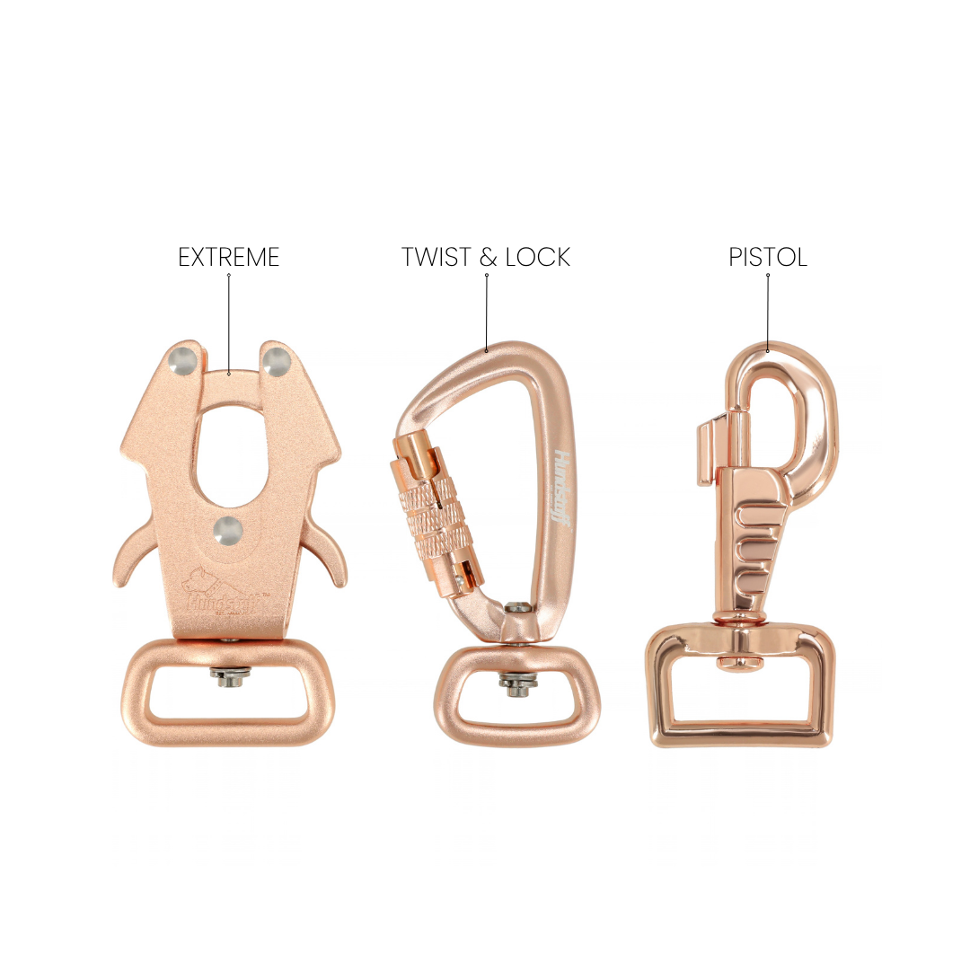 Walk Leash Rose Edition Mint