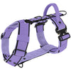 Easy Walk Extreme Black Edition Baby Purple - Geschirr mit Schnellverschluss
