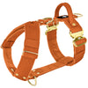 Easy Walk Extreme Gold Buckle Burnt Orange - Geschirr mit Schnellverschluss