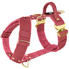 Easy Walk Extreme Gold Buckle Raspberry Red - Geschirr mit Schnellverschluss