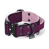 Extreme Buckle Black Edition Plum - Robustes und sicheres Halsband