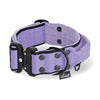 Extreme Buckle Black Edition Baby Purple - Robustes und sicheres Halsband