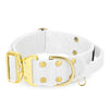 Extreme Gold Buckle White - Robustes und sicheres Halsband