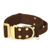 Extreme Gold Buckle Dark Bron - Robustes und sicheres Halsband