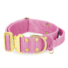 Extreme Gold Buckle Candy Pink - Robustes und sicheres Halsband