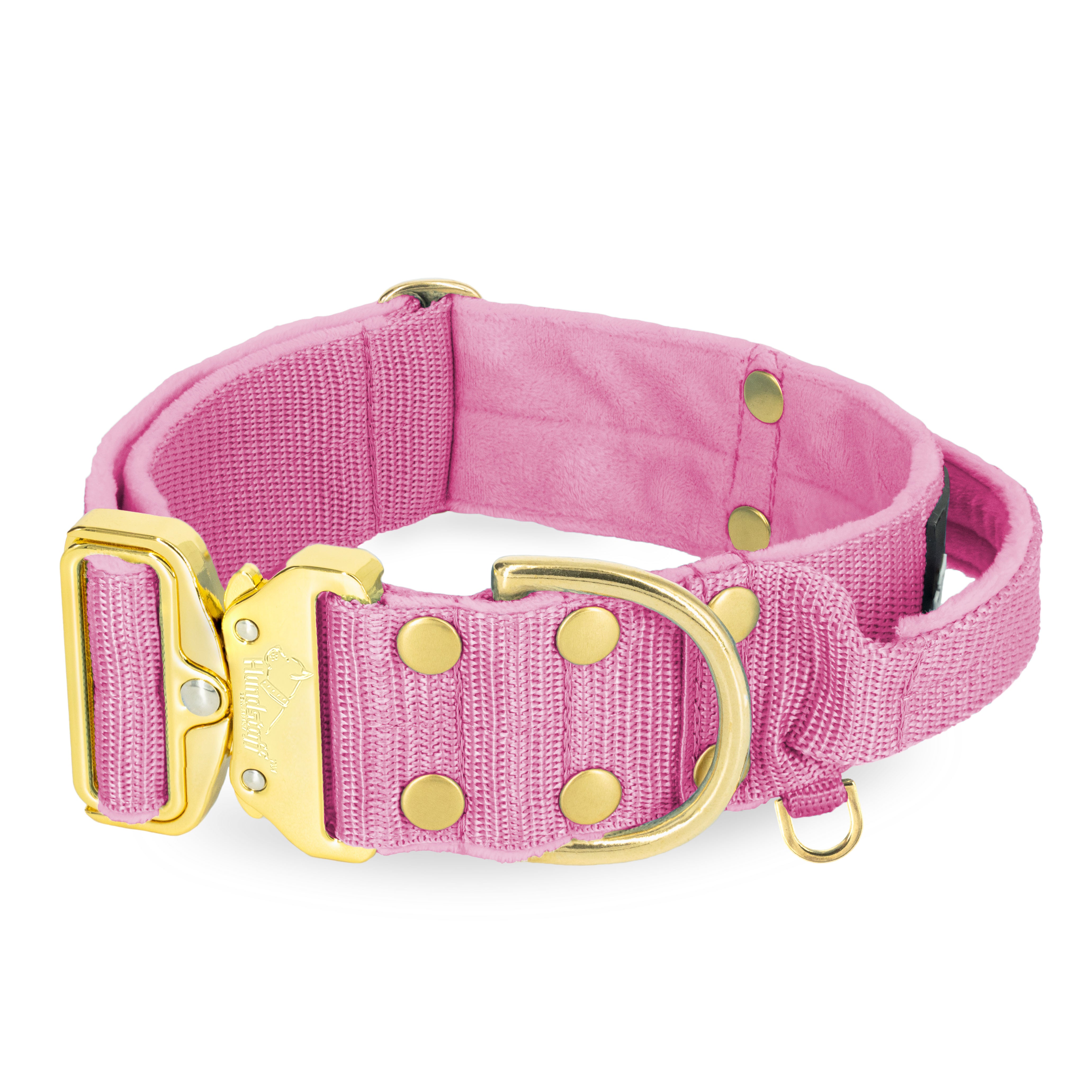 Extreme Gold Buckle Candy Pink - Robustes und sicheres Halsband