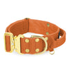 Extreme Gold Buckle Burnt Orange - Robustes und sicheres Halsband