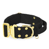Extreme Gold Buckle Schwarz - Robustes und sicheres Halsband
