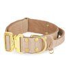 Extreme Gold Buckle Beige - Robustes und sicheres Halsband