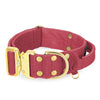 Extreme Gold Buckle Raspberry Red   - Robustes und sicheres Halsband