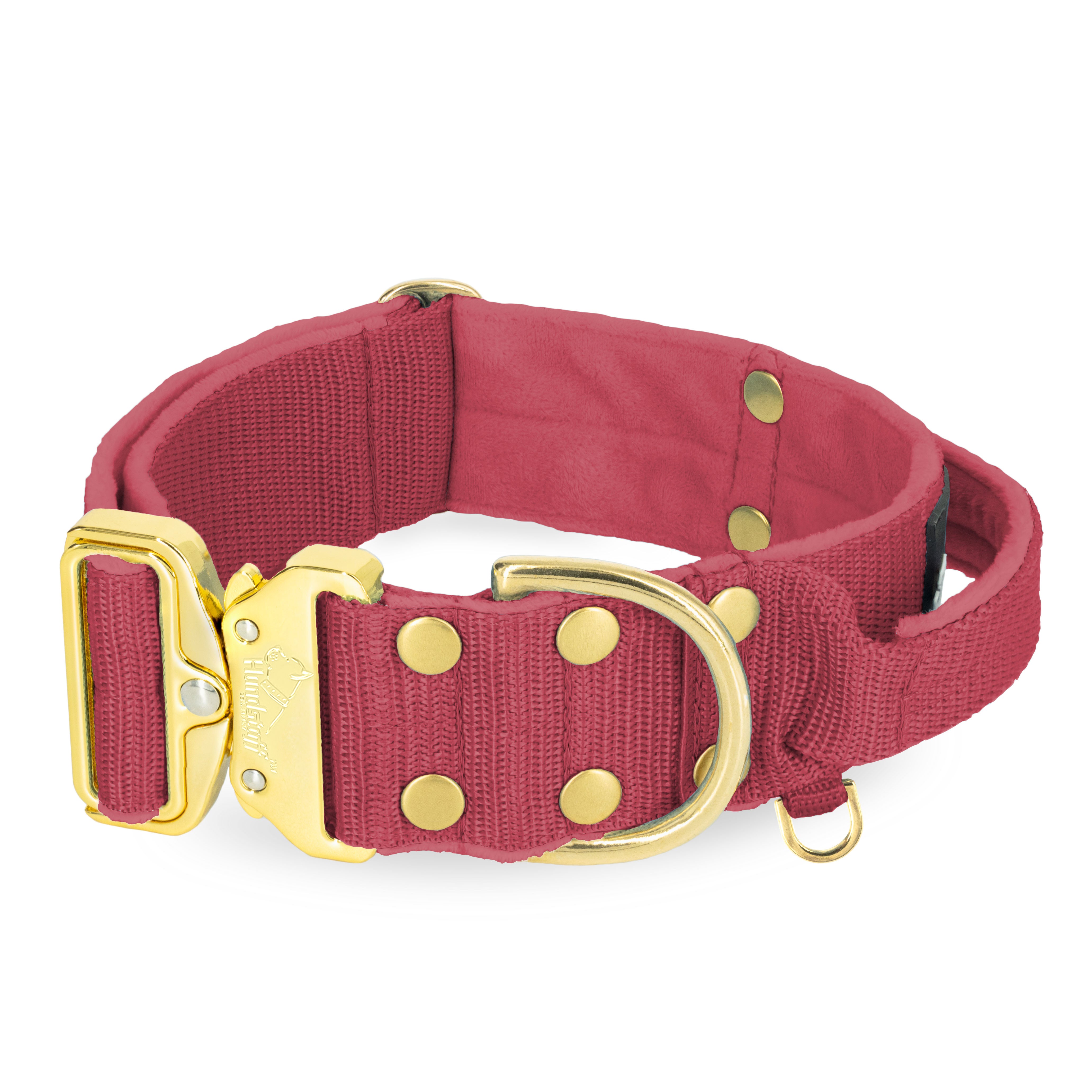 Extreme Gold Buckle Raspberry Red   - Robustes und sicheres Halsband
